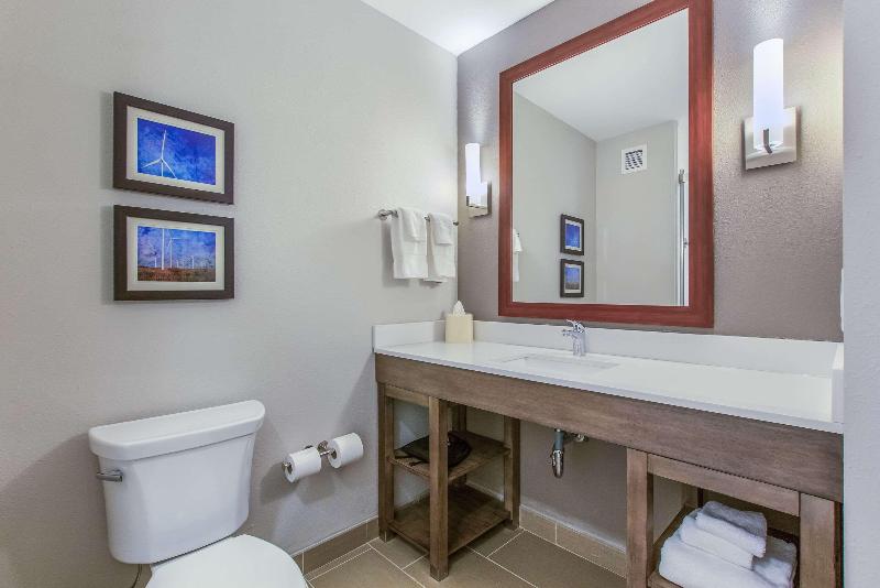 اتاق استاندارد با تخت بزرگ, Hyatt Place Lubbock