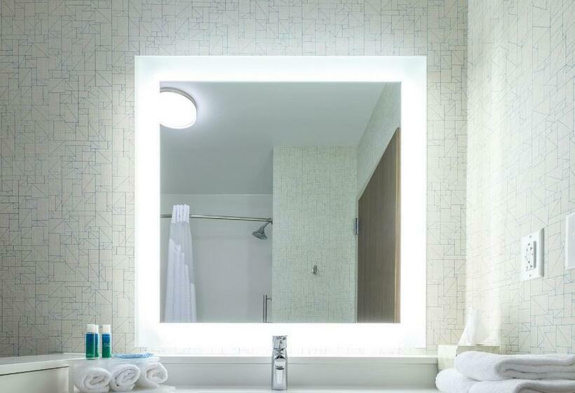 Люкс Кровать Кинг, Holiday Inn Express & Suites Eagan   Minneapolis Area, An Ihg