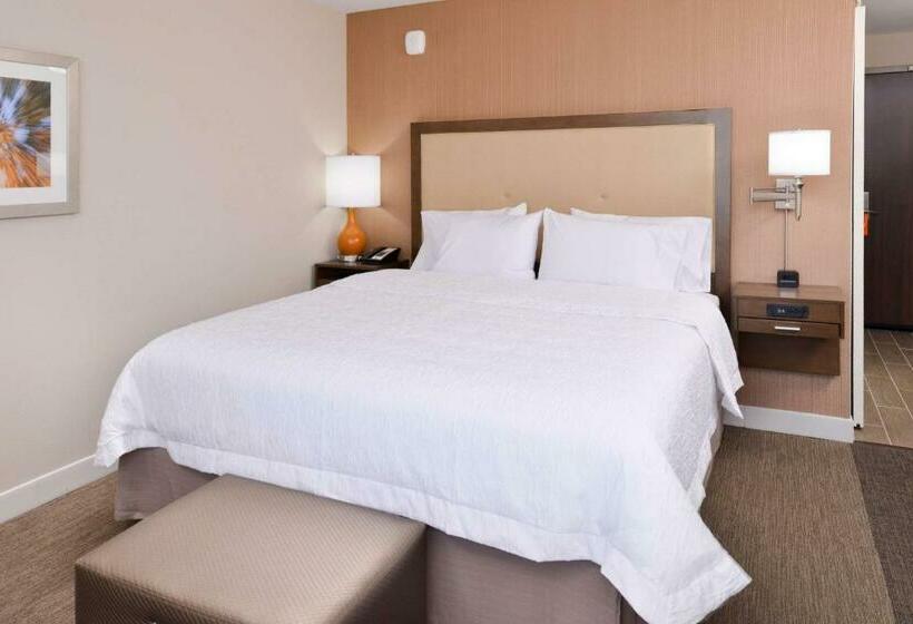 Номер Стандарт Кровать Кинг Адаптированный для Инвалидов, Hampton Inn El Centro