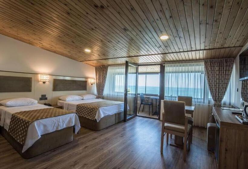 带大床的标准间, Akcakoca Poyraz Otel