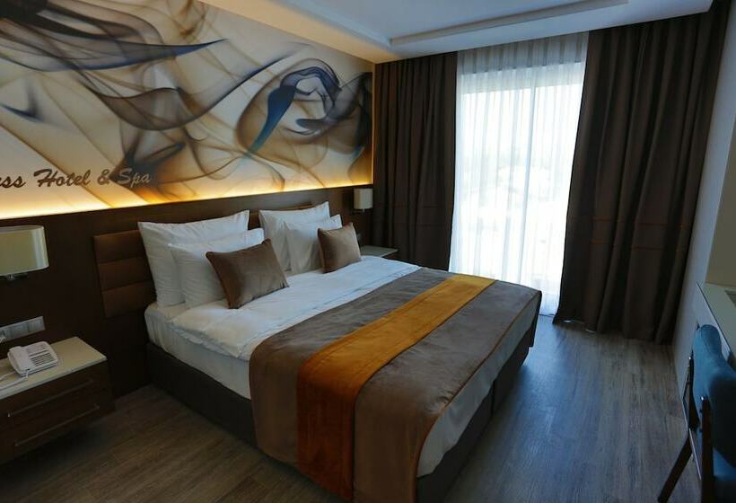اتاق لوکس, B Business Hotel & Spa