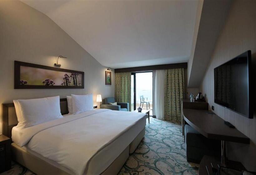 اتاق سوپریور, Radisson Blu Hotel, Ordu