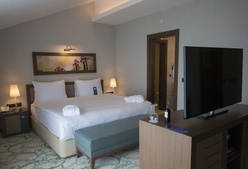 اتاق کلاس بیزنس, Radisson Blu Hotel, Ordu
