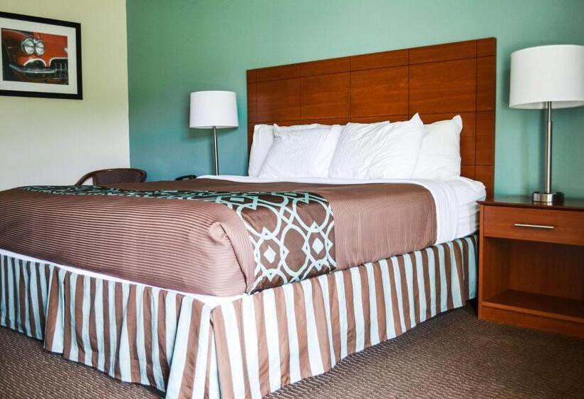 스탠다드 룸 킹사이즈 침대, Surestay Hotel By Best Western Bowling Green North
