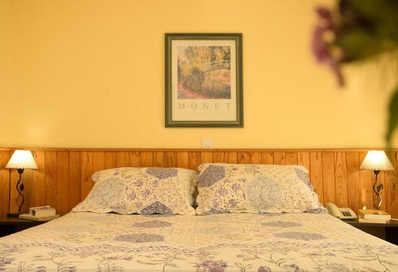 غرفة قياسية فردية, M383 Hotel Bariloche