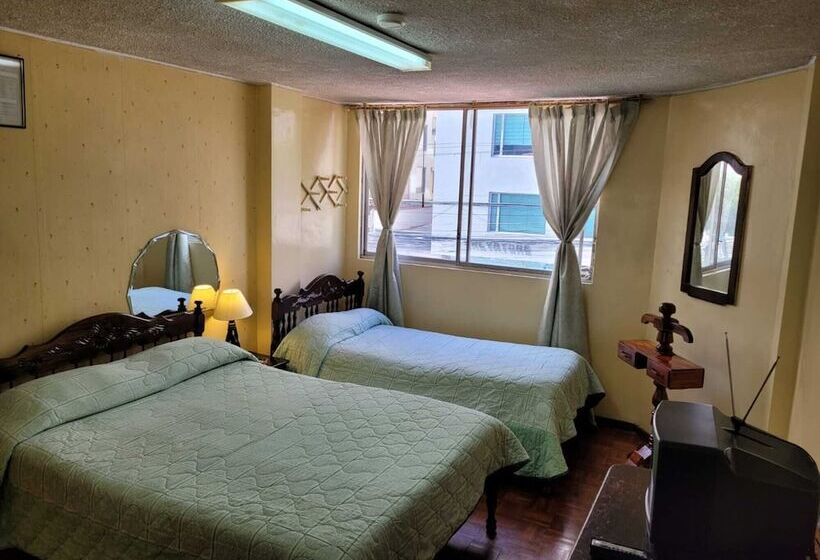 스탠다드 룸, Hostal Viena