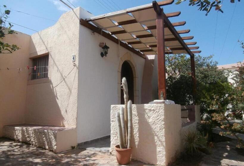 استودیوی استاندارد, Eliza