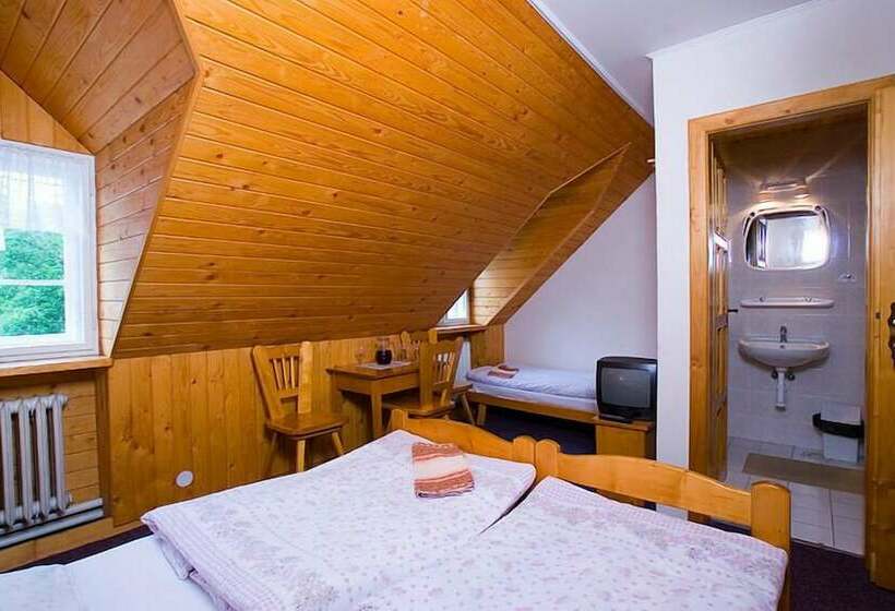 Номер Стандарт, Pension Samohel