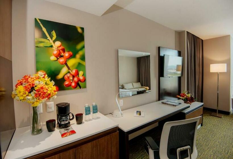سوییت جونیور, Hilton Garden Inn Puebla Angelópolis, Mexico