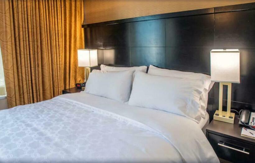 Escritório Estándar, Staybridge Suites Denver Downtown, An Ihg