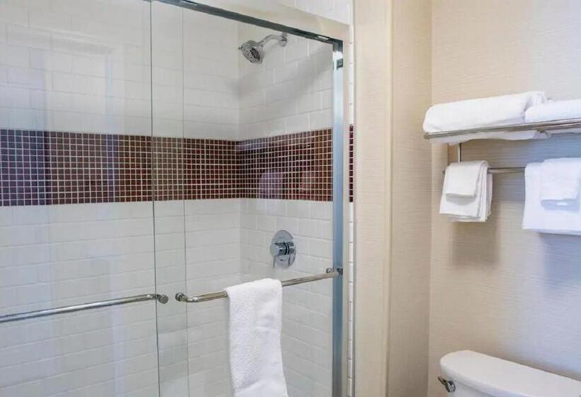 스위트 킹사이즈 침대, Staybridge Suites Denver Downtown, An Ihg