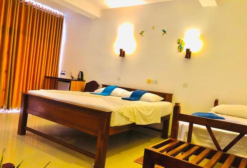 3 Bett Deluxe Zimmer, Mirissa Beach Inn