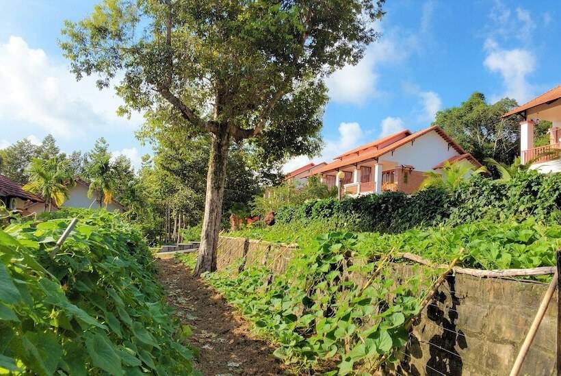اتاق لوکس با چشم‌انداز باغ, The Garden House Phu Quoc Resort