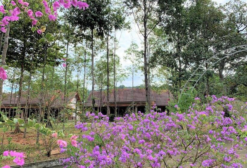 اتاق خانوادگی با چشم‌انداز باغ, The Garden House Phu Quoc Resort