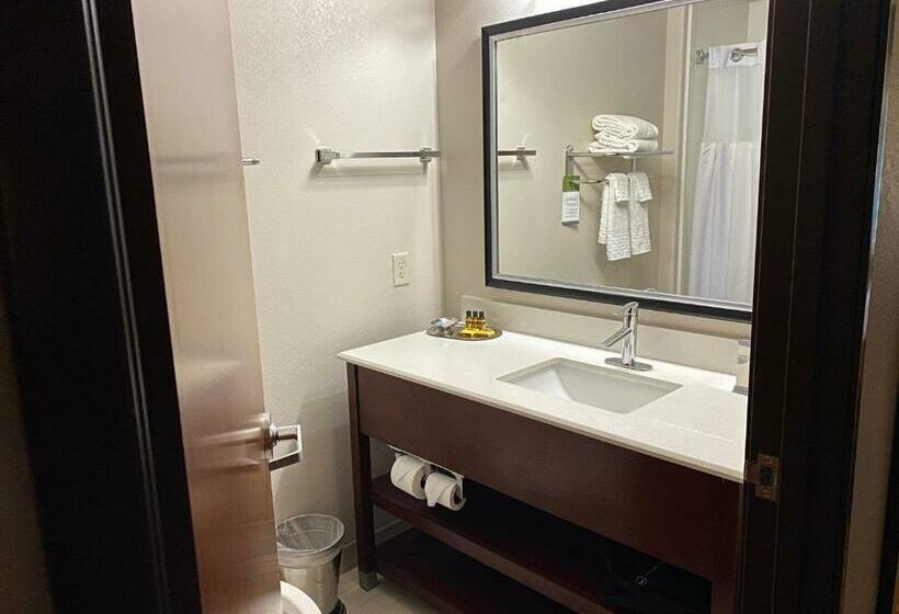 Номер Стандарт, Best Western Plus Spring Inn & Suites