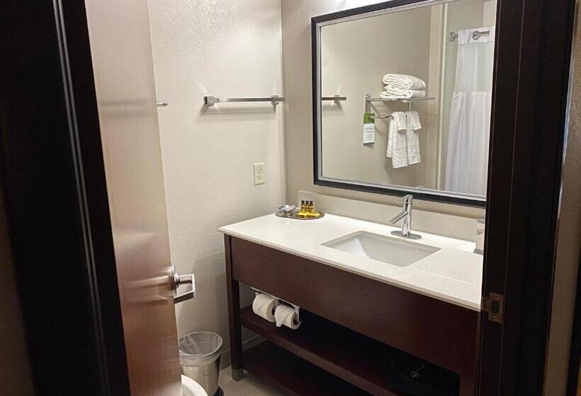 Студия Стандарт, Best Western Plus Spring Inn & Suites