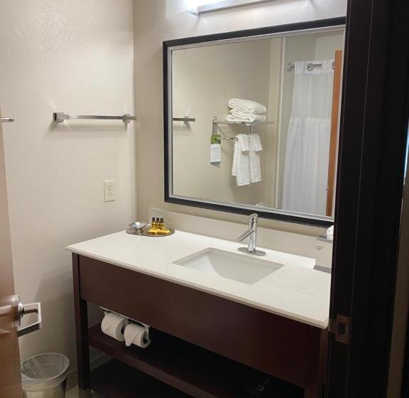 Люкс Адаптированный для Инвалидов, Best Western Plus Spring Inn & Suites