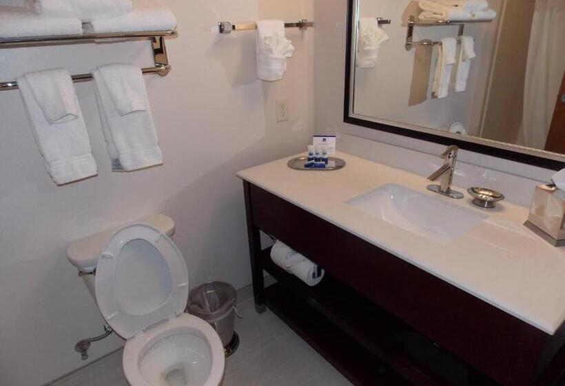 Люкс Адаптированный для Инвалидов, Best Western Plus Spring Inn & Suites