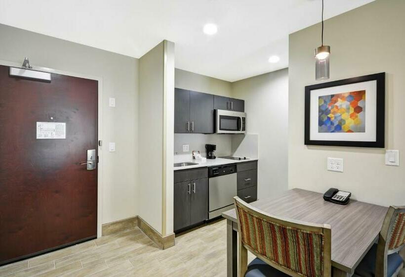 带大床的套房, Homewood Suites By Hilton Orlando Theme Parks