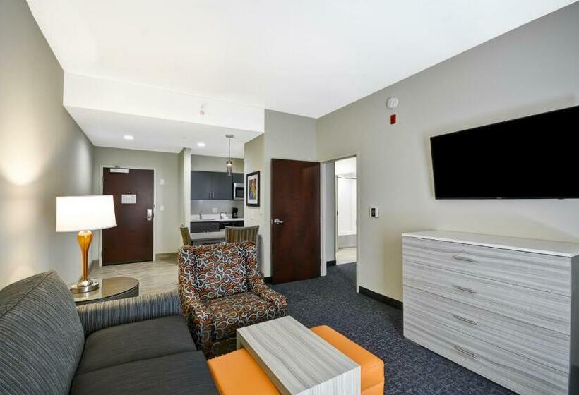 带大床的套房, Homewood Suites By Hilton Orlando Theme Parks