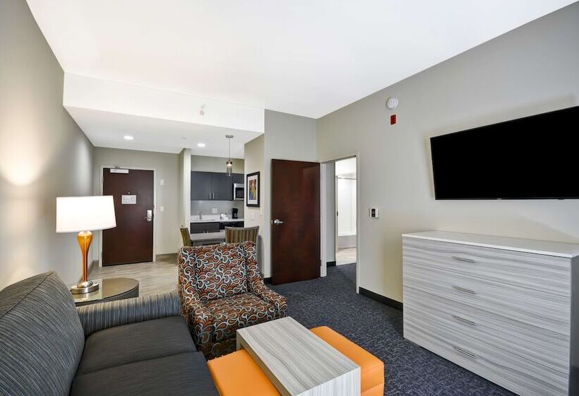 带2个卧室的套房, Homewood Suites By Hilton Orlando Theme Parks
