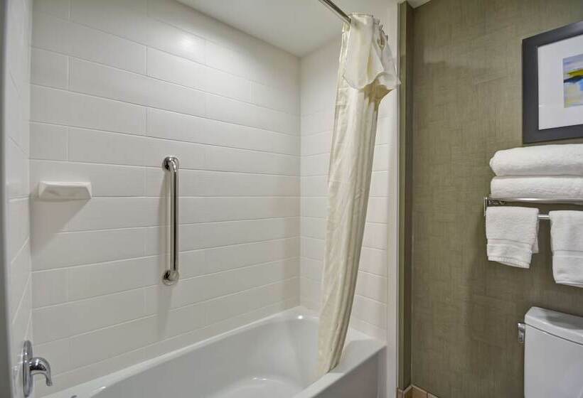适合残疾人士使用的套间, Homewood Suites By Hilton Orlando Theme Parks