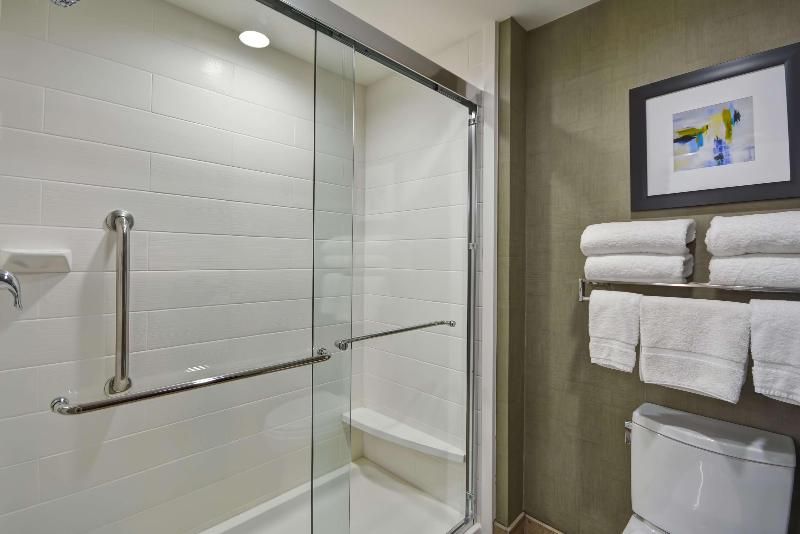 带大床的套房, Homewood Suites By Hilton Orlando Theme Parks