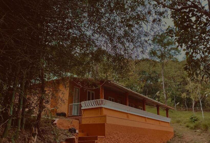 Семейный Номер Вид на Сад, Punarjani Ayurvedic Resorts