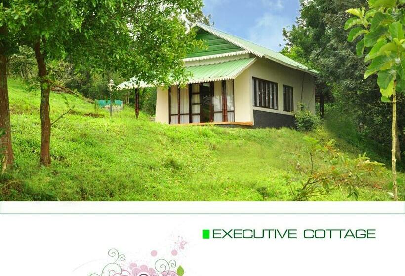 Номер Стандарт Вид на Сад, Punarjani Ayurvedic Resorts