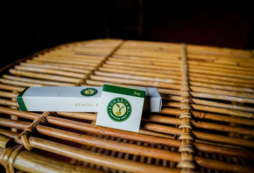 Номер Стандарт Вид на Сад, Punarjani Ayurvedic Resorts