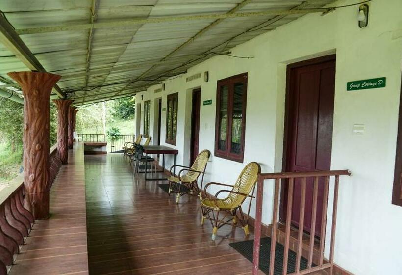 Четырехместный Номер Стандарт Вид на Сад, Punarjani Ayurvedic Resorts