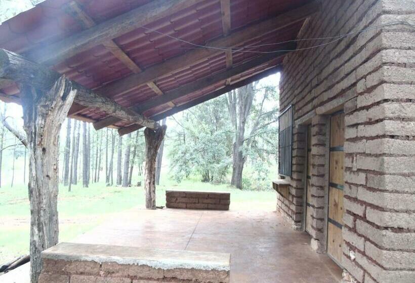 ファミリールーム, Campamento Plan De Los álamos