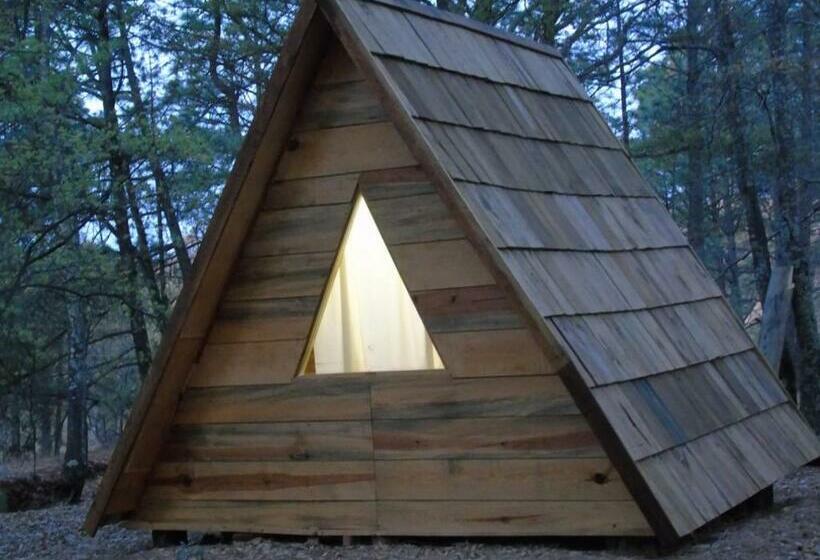 スタンダード４人部屋, Campamento Plan De Los álamos