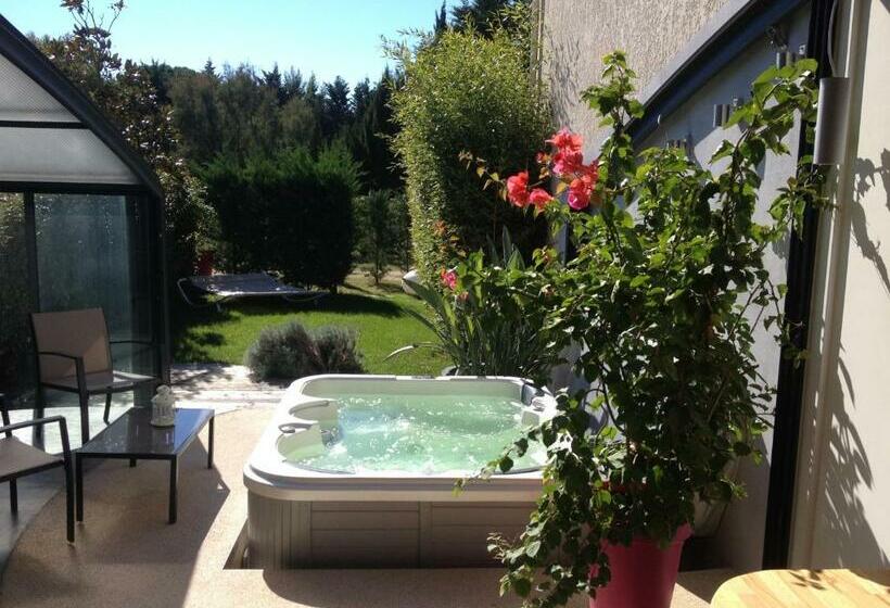带大床的复式套间, Chambres D'hotes Deluxe Jacuzzi Mas De L'etoile