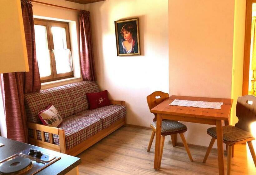 آپارتمان 1 خوابه, Gästehaus Brigitte