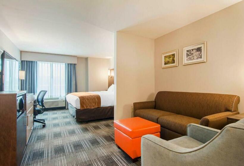 Люкс Адаптированный для Инвалидов, Comfort Inn & Suites East Ellijay