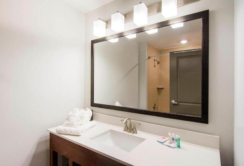 Люкс Адаптированный для Инвалидов, Comfort Inn & Suites East Ellijay