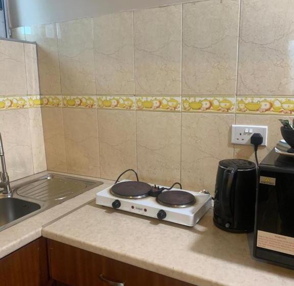 1 Bedroom Apartment, Manjaro Suites