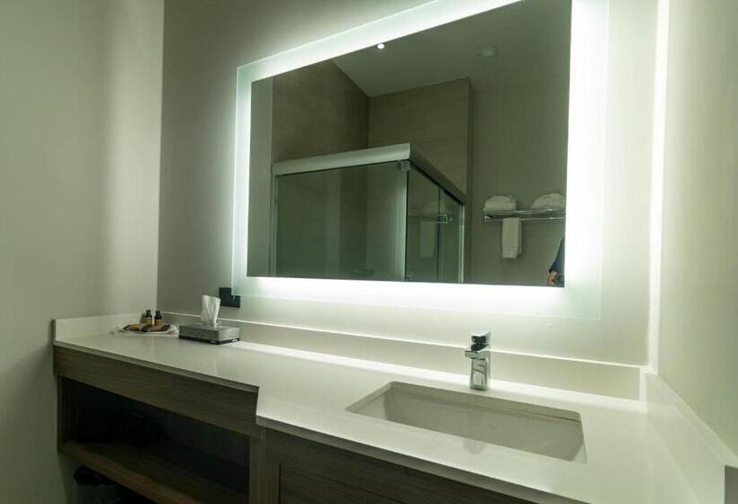 キングサイズベッドのスタンダードルーム, Holiday Inn Navojoa, An Ihg