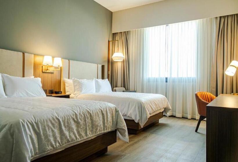 スタンダードルーム, Holiday Inn Navojoa, An Ihg