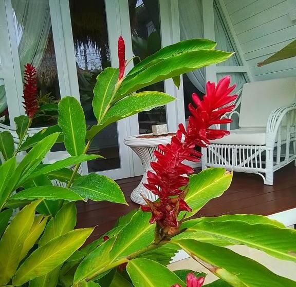 스탠다드 룸 가든 전망, Piramida S White Villa S Bali