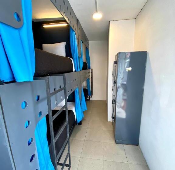 Кровать в Общей Комнате, Roomies Hostel Reforma El ángel