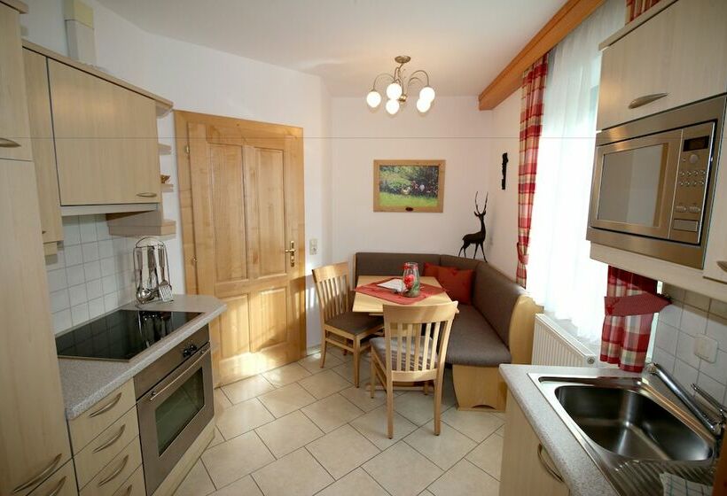 آپارتمان 1 خوابه با بالکن, Appartements Wieshof