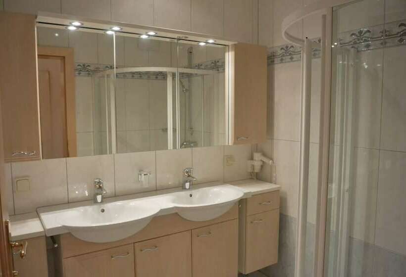 آپارتمان 1 خوابه با بالکن, Appartements Wieshof