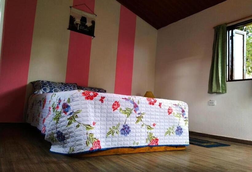 Номер Стандарт, Casa Enverdes