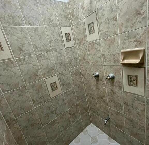 Superior Suite, Mayab Playa   5th. Ave