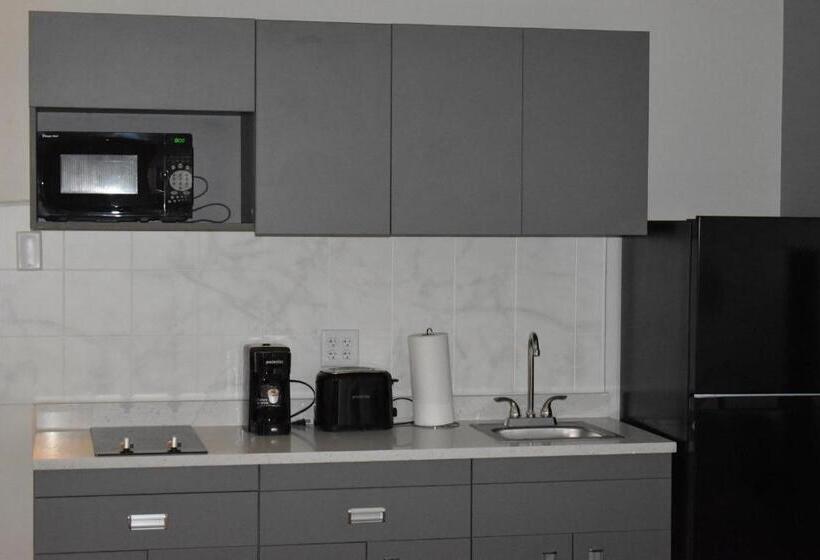 스탠다드 룸, Mainstay Suites Msp Airport   Mall Of America