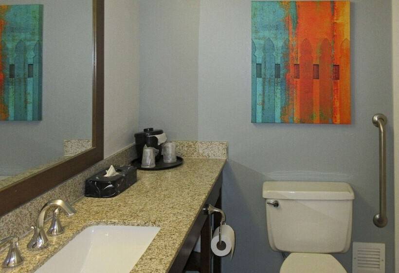장애인을 위한 스위트, Mainstay Suites Msp Airport   Mall Of America
