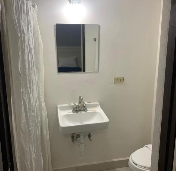 Quarto Estandar, La Purisima