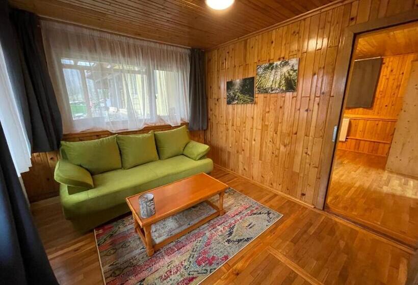 Стандартный Номер Кровать Кинг, Vila Piramida